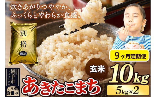 《令和7年産》《定期便9ヶ月》 米 あきたこまち 10kg（5kg×2袋） 【玄米】 秋田県産