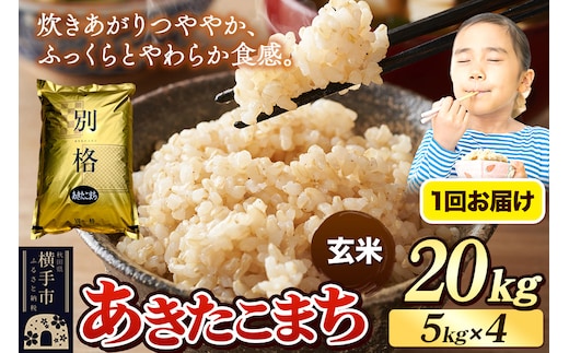 《令和7年産》 米 あきたこまち 20kg（5kg×4袋） 【玄米】 秋田県産