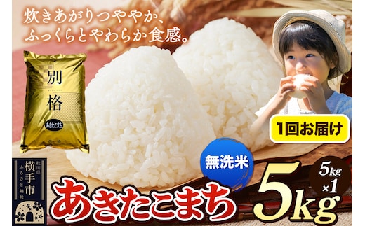 《令和7年産》 米 あきたこまち 5kg 【無洗米】 秋田県産
