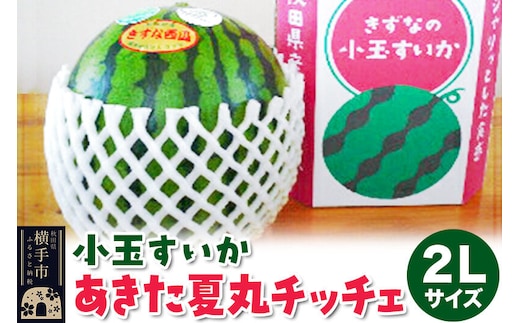 小玉すいか（あきた夏丸チッチェ）2Lサイズ1個入 すいか [秋田県 オリジナルブランド スイカ]