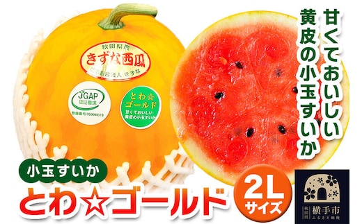 小玉すいか（とわ☆ゴールド）2Lサイズ1個入 すいか [農事組合法人きずな 小玉すいか]