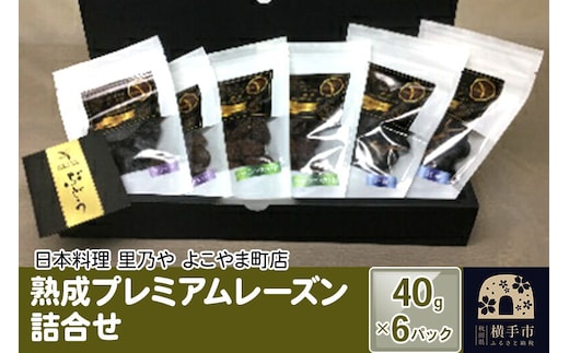 熟成プレミアムレーズン詰合せ 40g×6パック（各2） [ドライフルーツ レーズン 枝付き ギフト]
