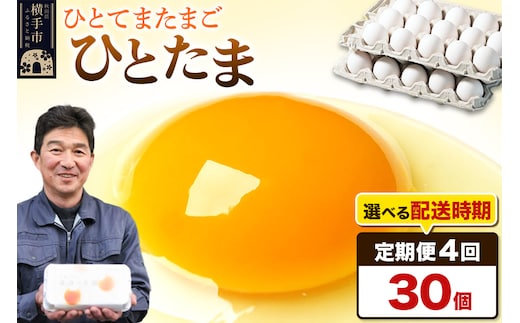 【常温発送】《定期便4ヶ月》ひとたま 30個（業務用）【発送時期が選べる】東海林養鶏場 ひとたま 卵 玉子 たまご タマゴ 4か月 4ヵ月 4カ月 4ケ月 開始時期選べる