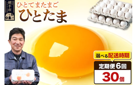 【常温発送】《定期便6ヶ月》ひとたま 30個（業務用）【発送時期が選べる】東海林養鶏場 ひとたま 卵 玉子 たまご タマゴ 6か月 6ヵ月 6カ月 6ケ月 開始時期選べる