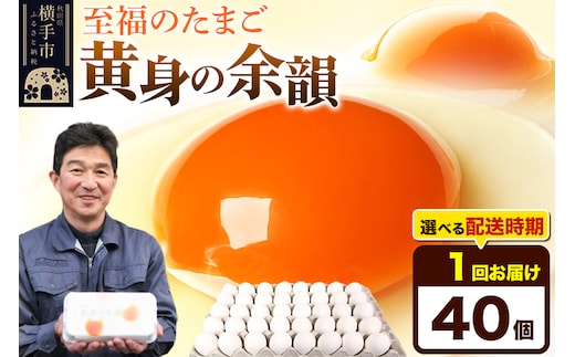 【常温発送】黄身の余韻 40個（業務用）【発送時期が選べる】東海林養鶏場 黄身の余韻 卵 玉子 たまご タマゴ 配送時期選べる 1回のみお届け