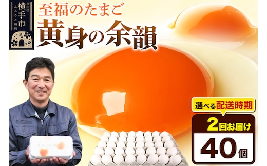 【常温発送】《定期便2ヶ月》黄身の余韻 40個（業務用）【発送時期が選べる】東海林養鶏場 黄身の余韻 卵 玉子 たまご タマゴ 2か月 2ヵ月 2カ月 2ケ月 開始時期選べる