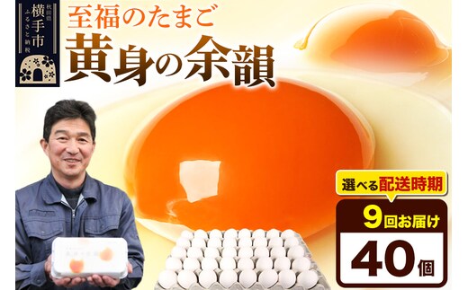 【常温発送】《定期便9ヶ月》黄身の余韻 40個（業務用）【発送時期が選べる】東海林養鶏場 黄身の余韻 卵 玉子 たまご タマゴ 9か月 9ヵ月 9カ月 9ケ月 開始時期選べる