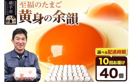 【常温発送】《定期便10ヶ月》黄身の余韻 40個（業務用）【発送時期が選べる】東海林養鶏場 黄身の余韻 卵 玉子 たまご タマゴ 10か月 10ヵ月 10カ月 10ケ月 開始時期選べる