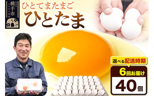 【常温発送】《定期便6ヶ月》ひとたま 40個（業務用）【発送時期が選べる】東海林養鶏場 ひとたま 卵 玉子 たまご タマゴ 6か月 6ヵ月 6カ月 6ケ月 開始時期選べる