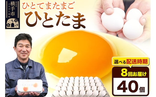 【常温発送】《定期便8ヶ月》ひとたま 40個（業務用）【発送時期が選べる】東海林養鶏場 ひとたま 卵 玉子 たまご タマゴ 8か月 8ヵ月 8カ月 8ケ月 開始時期選べる