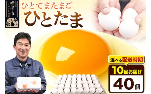 【常温発送】《定期便10ヶ月》ひとたま 40個（業務用）【発送時期が選べる】東海林養鶏場 ひとたま 卵 玉子 たまご タマゴ 10か月 10ヵ月 10カ月 10ケ月 開始時期選べる