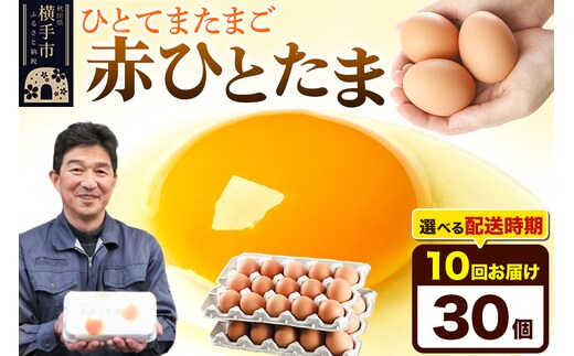 【常温発送】《定期便10ヶ月》赤ひとたま 30個（業務用）【発送時期が選べる】東海林養鶏場 赤ひとたま 卵 玉子 たまご タマゴ 10か月 10ヵ月 10カ月 10ケ月 開始時期選べる