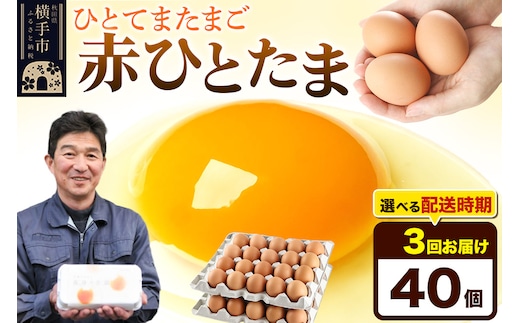 【常温発送】《定期便3ヶ月》赤ひとたま 40個（業務用）【発送時期が選べる】東海林養鶏場 赤ひとたま 卵 玉子 たまご タマゴ 3か月 3ヵ月 3カ月 3ケ月 開始時期選べる