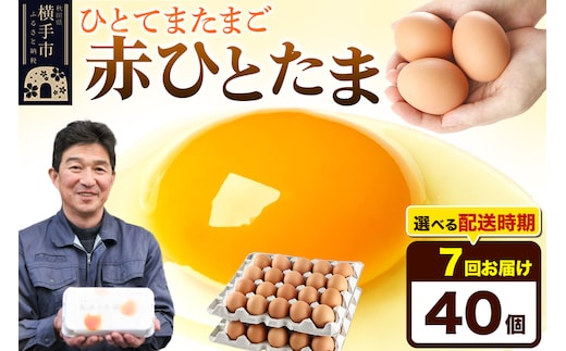 【常温発送】《定期便7ヶ月》赤ひとたま 40個（業務用）【発送時期が選べる】東海林養鶏場 赤ひとたま 卵 玉子 たまご タマゴ 7か月 7ヵ月 7カ月 7ケ月 開始時期選べる
