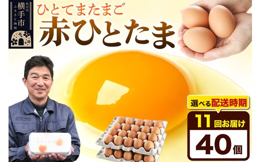 【常温発送】《定期便11ヶ月》赤ひとたま 40個（業務用）【発送時期が選べる】東海林養鶏場 赤ひとたま 卵 玉子 たまご タマゴ 11か月 11ヵ月 11カ月 11ケ月 開始時期選べる