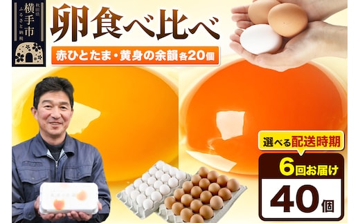 【常温発送】《定期便6ヶ月》赤ひとたま 20個・黄身の余韻 20個 計40個（業務用）【発送時期が選べる】東海林養鶏場 赤ひとたま 黄身の余韻 卵 玉子 たまご タマゴ 6か月 6ヵ月 6カ月 6ケ月 開始時期選べる