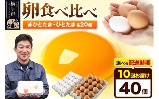 【常温発送】《定期便10ヶ月》赤ひとたま 20個・ひとたま 20個 計40個（業務用）【発送時期が選べる】東海林養鶏場 赤ひとたま ひとたま 卵 玉子 たまご タマゴ 10か月 10ヵ月 10カ月 10ケ月 開始時期選べる