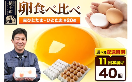 【常温発送】《定期便11ヶ月》赤ひとたま 20個・ひとたま 20個 計40個（業務用）【発送時期が選べる】東海林養鶏場 赤ひとたま ひとたま 卵 玉子 たまご タマゴ 11か月 11ヵ月 11カ月 11ケ月 開始時期選べる