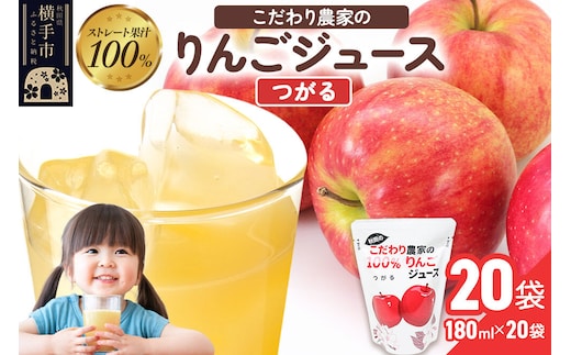 りんごジュース（つがる）20袋 [りんご リンゴ 林檎 ストレート 甘味料不使用 果汁100% つがる ジュース 秋田県産]