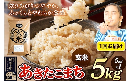 《令和7年産》 米 あきたこまち 5kg 【玄米】 秋田県産 [米 コメ 玄米 あきたこまち おいしい 美味しい]