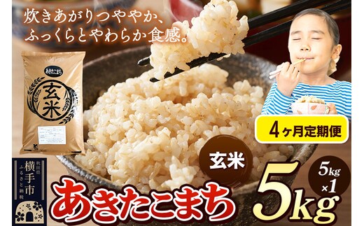 《令和7年産》《定期便4ヶ月》 米 あきたこまち 5kg 【玄米】 秋田県産 [米 コメ 玄米 あきたこまち おいしい 美味しい]