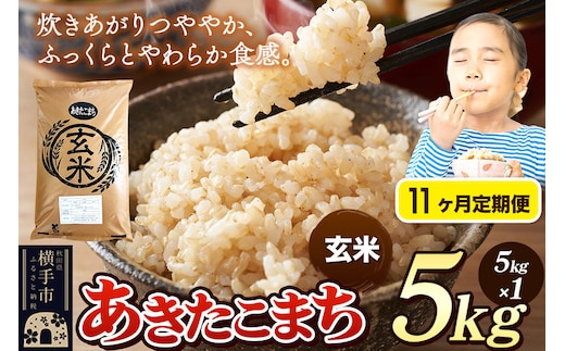 《令和7年産》《定期便11ヶ月》 米 あきたこまち 5kg 【玄米】 秋田県産 [米 コメ 玄米 あきたこまち おいしい 美味しい]