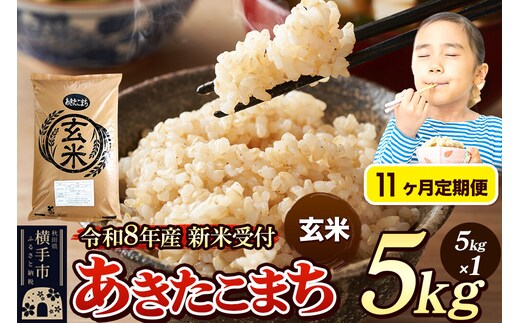 《令和8年産 新米受付》定期便11ヶ月》 米 あきたこまち 5kg 【玄米】 秋田県産 [新米 先行予約 先行受付 米 コメ 玄米 あきたこまち おいしい 美味しい]