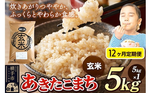 《令和7年産》《定期便12ヶ月》 米 あきたこまち 5kg 【玄米】 秋田県産 [米 コメ 玄米 あきたこまち おいしい 美味しい]