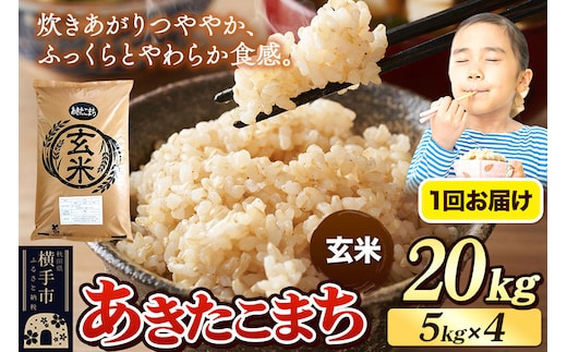 《令和7年産》 米 あきたこまち 20kg（5kg×4袋） 【玄米】 秋田県産 [米 コメ 玄米 あきたこまち おいしい 美味しい]