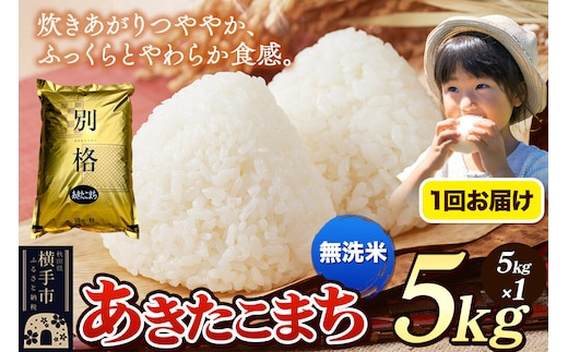 《令和7年産》 米 あきたこまち 5kg 【無洗米】 秋田県産 [米 コメ 無洗米 あきたこまち おいしい 美味しい]