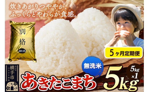 《令和7年産》《定期便5ヶ月》 米 あきたこまち 5kg 【無洗米】 秋田県産 [米 コメ 無洗米 あきたこまち おいしい 美味しい]
