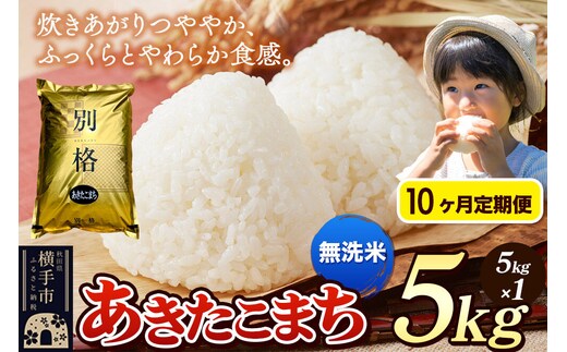 《令和7年産》《定期便10ヶ月》 米 あきたこまち 5kg 【無洗米】 秋田県産 [米 コメ 無洗米 あきたこまち おいしい 美味しい]