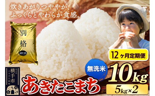 《令和7年産》《定期便12ヶ月》 米 あきたこまち 10kg（5kg×2袋） 【無洗米】 秋田県産 [米 コメ 無洗米 あきたこまち おいしい 美味しい]