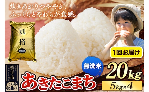 《令和7年産》 米 あきたこまち 20kg（5kg×4袋） 【無洗米】 秋田県産 [米 コメ 無洗米 あきたこまち おいしい 美味しい]