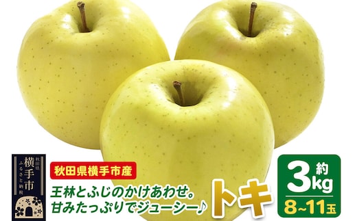 【先行受付 9月下旬より発送】りんご トキ 約3kg（8～11玉） [先行予約 トキ りんご アップル おいしい 果実 果物 黄色 美味 林檎]