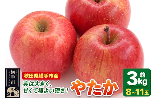 【先行受付 9月下旬より発送】りんご やたか 約3kg（8～11玉） [先行予約 りんご やたか 林檎 アップル 赤 果実 果物 フルーツ 美味 おいしい]