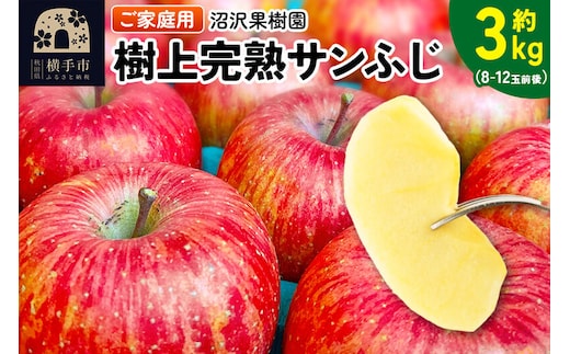 【先行受付】12月上旬より発送 樹上完熟サンふじ ご家庭用 約3kg（8～12玉前後） [先行予約 サンふじ サンフジ 林檎 リンゴ 家庭用 不揃い おまかせ 【りんご】特集]