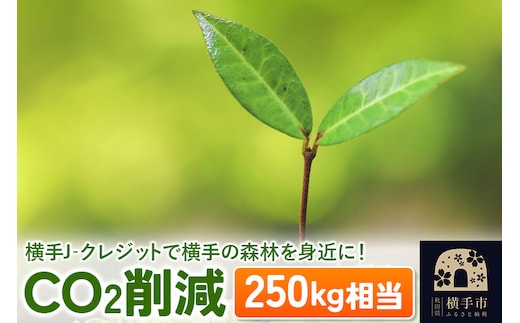 横手J‐クレジットで横手の森林を身近に! CO2削減 250kg相当