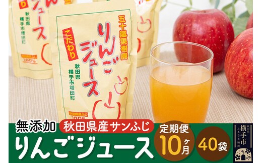 【先行受付 12月上旬より発送】《定期便10ヶ月》 無添加りんごジュース（サンふじ）40パック [先行予約 秋田県 五十嵐果樹園 りんごジュース 無添加 りんご リンゴ 林檎 ストレート 無添加 果汁100%]