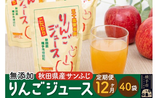 【先行受付 12月上旬より発送】《定期便12ヶ月》 無添加りんごジュース（サンふじ）40パック [先行予約 秋田県 五十嵐果樹園 りんごジュース 無添加 りんご リンゴ 林檎 ストレート 無添加 果汁100%]