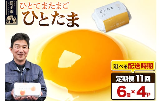 【常温発送】《定期便11ヶ月》ひとたま 6個×4P【発送時期が選べる】東海林養鶏場 ひとたま 卵 玉子 たまご タマゴ 11か月 11ヵ月 11カ月 11ケ月 開始時期選べる