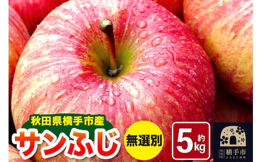 《先行受付！12月上旬より順次発送》秋田県横手市産 サンふじ りんご 無選別 約5kg [先行予約 生きがい食材納入組合りんご サンふじ]