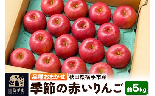 10月上旬より発送 季節の赤いりんご 約5kg（早生ふじ(やたか)、シナノスイート、早生ふじ(こまちふじ)、サンふじ）