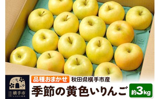 10月上旬より発送 季節の黄色いりんご 約3kg（トキ、ぐんま名月、シナノゴールド、王林）