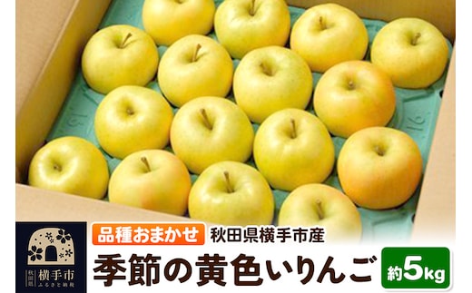 10月上旬より発送 季節の黄色いりんご 約5kg（トキ、ぐんま名月、シナノゴールド、王林）
