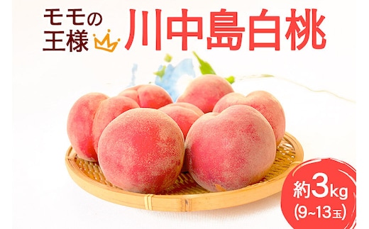 モモの王様 川中島白桃 約3kg（9～13玉前後） [もも モモ 白桃 はくとう 果物 フルーツ 産地直送 お取り寄せ]