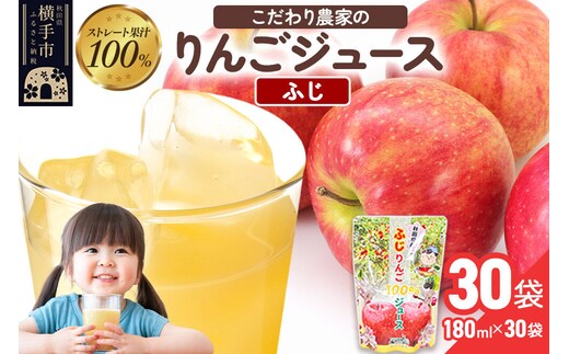 りんごジュース（ふじ）30袋 [りんご リンゴ 林檎 ストレート 甘味料不使用 果汁100% ふじ フジ ジュース 秋田県産]