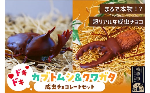 カブトムシの成虫チョコレート＆クワガタチョコレート 小松屋本店 プレゼント インスタ映え お菓子 スイーツ チョコ チョコレート ギフト