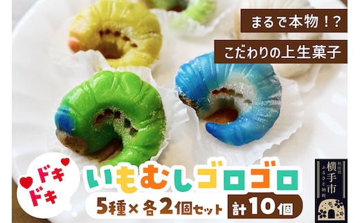 いもむしゴロゴロセット（5種×各2個 計10個）上生菓子 和菓子 小松屋本店 プレゼント インスタ映え お菓子 スイーツ ギフト
