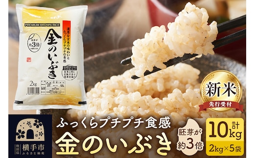 【令和8年産新米受付】【玄米】金のいぶき 10kg（2kg×5袋） [秋田県産 金のいぶき 玄米 プレミアム玄米 新米予約]